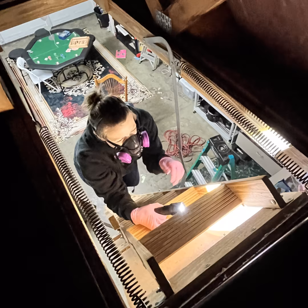 Tina Inspection