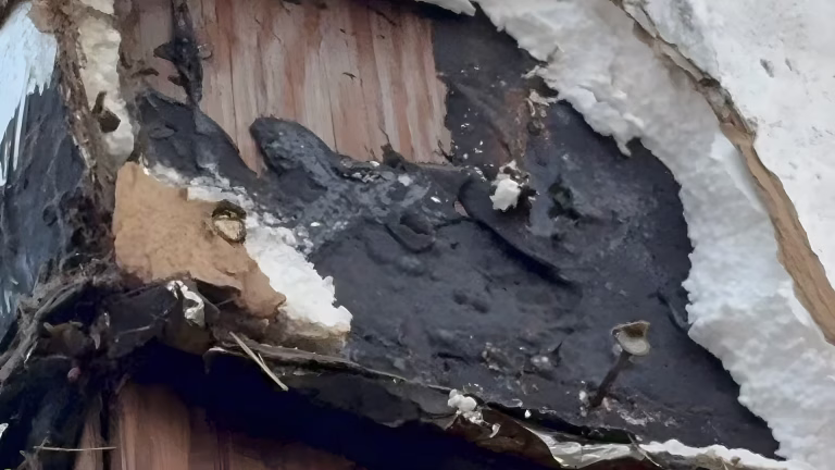 Black asbestos-containing mastic bonded to wood siding on a building in Monroe, Washington, with torn white sheeting pulled away from it